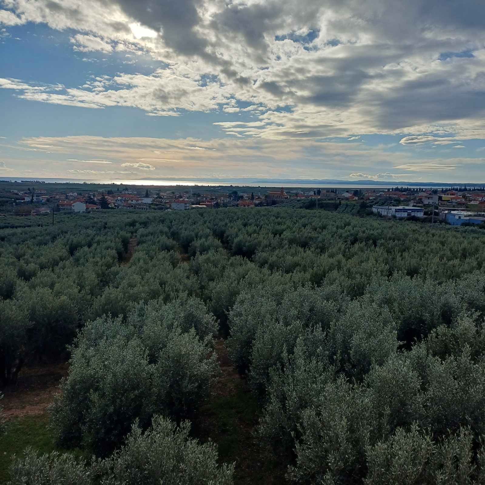 Farm